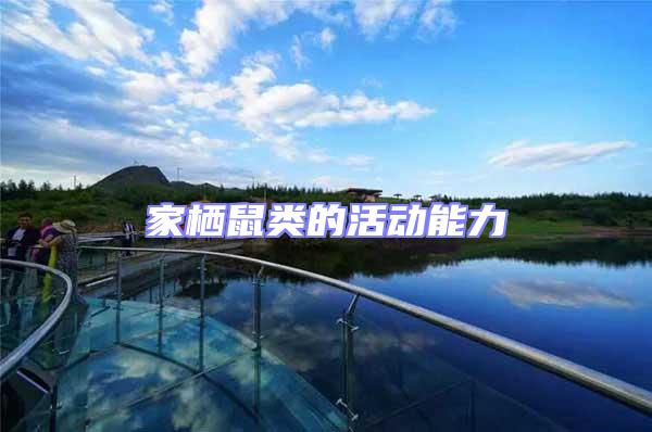 家棲鼠類的活動(dòng)能力