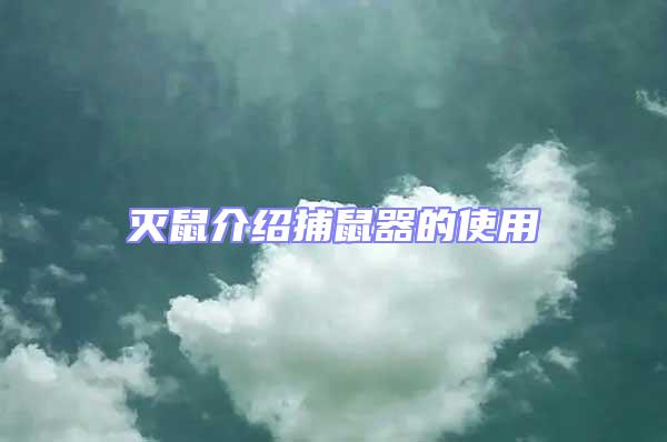 滅鼠介紹捕鼠器的使用