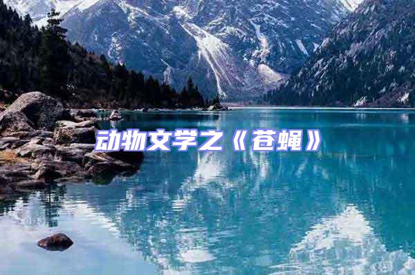 動(dòng)物文學(xué)之《蒼蠅》