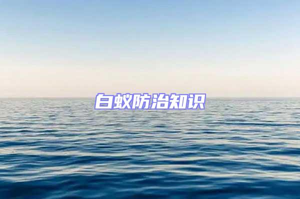 白蟻防治知識