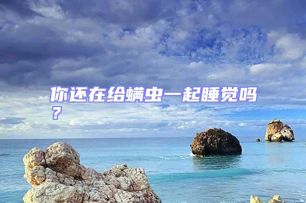你還在給螨蟲一起睡覺嗎？