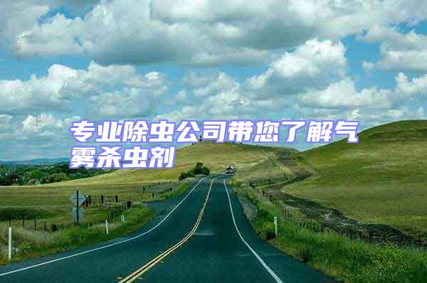 專業除蟲公司帶您了解氣霧殺蟲劑