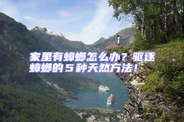 家里有蟑螂怎么辦？驅逐蟑螂的５種天然方法！