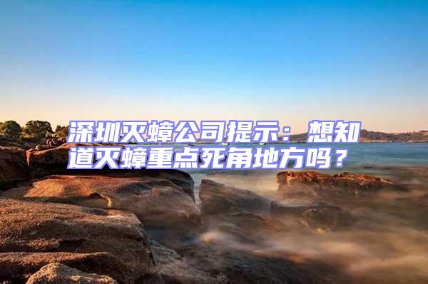 深圳滅蟑公司提示：想知道滅蟑重點死角地方嗎？