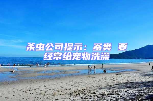 殺蟲公司提示：蚤類 要經常給寵物洗澡