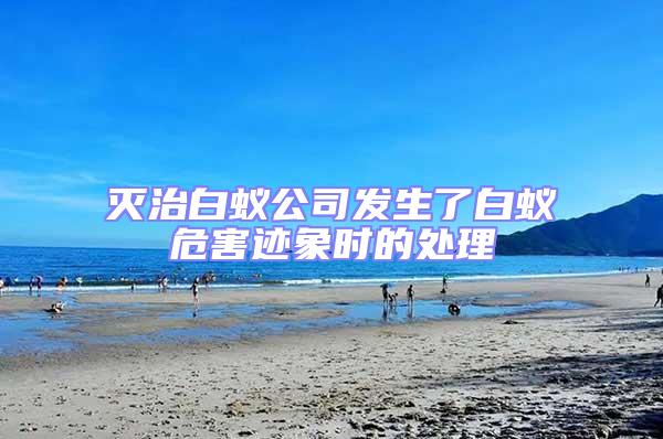 滅治白蟻公司發生了白蟻危害跡象時的處理