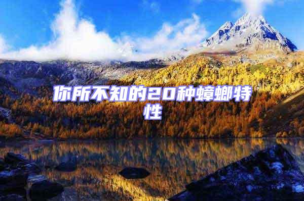 你所不知的20種蟑螂特性
