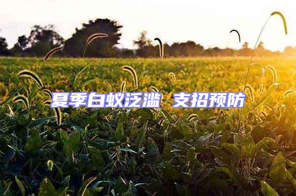 夏季白蟻泛濫 支招預防