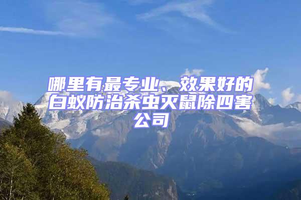哪里有最專業、效果好的白蟻防治殺蟲滅鼠除四害公司