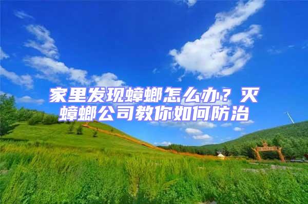 家里發(fā)現(xiàn)蟑螂怎么辦？滅蟑螂公司教你如何防治