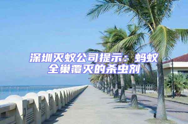 深圳滅蟻公司提示：螞蟻全巢覆滅的殺蟲劑