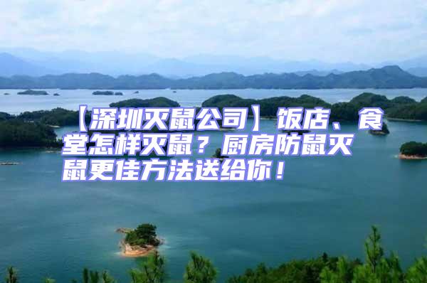 【深圳滅鼠公司】飯店、食堂怎樣滅鼠？廚房防鼠滅鼠更佳方法送給你！