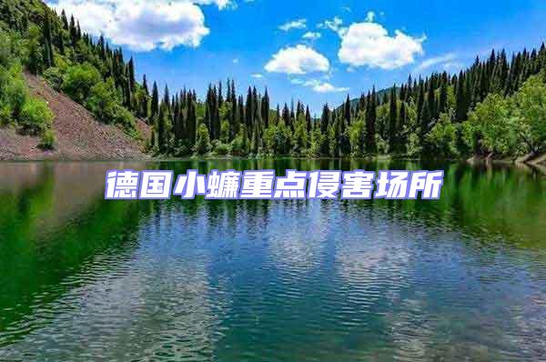 德國小蠊重點侵害場所