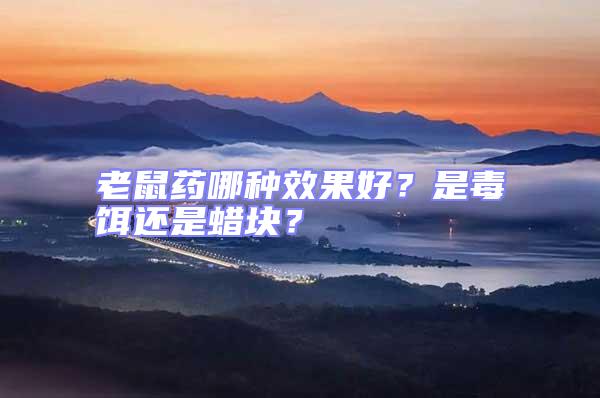 老鼠藥哪種效果好？是毒餌還是蠟塊？