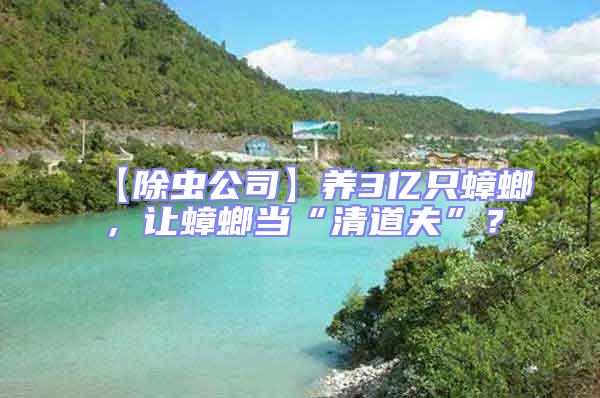 【除蟲公司】養(yǎng)3億只蟑螂，讓蟑螂當(dāng)“清道夫”？