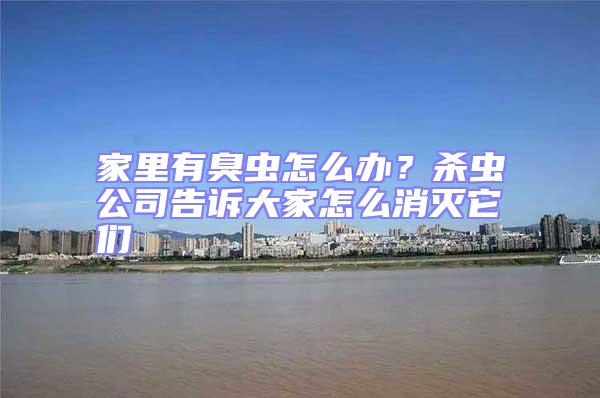 家里有臭蟲怎么辦？殺蟲公司告訴大家怎么消滅它們