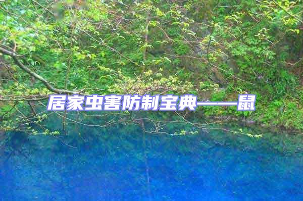 居家蟲害防制寶典——鼠