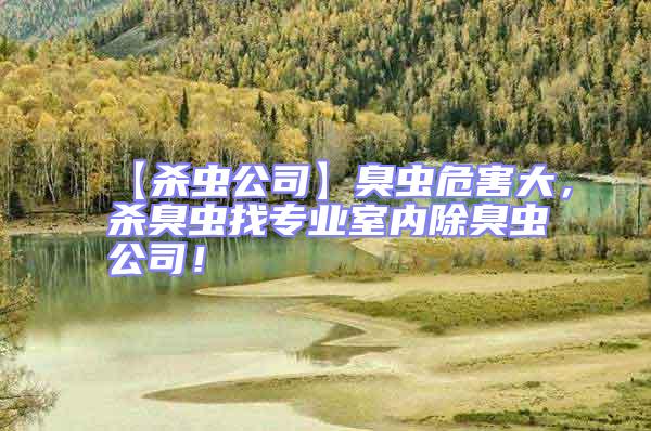 【殺蟲公司】臭蟲危害大，殺臭蟲找專業(yè)室內(nèi)除臭蟲公司！