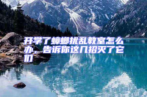 開學了蟑螂擾亂教室怎么辦，告訴你這幾招滅了它們