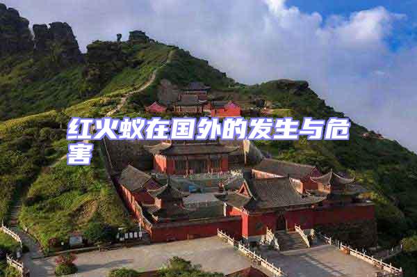 紅火蟻在國外的發(fā)生與危害