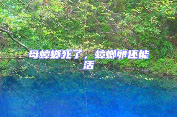 母蟑螂死了，蟑螂卵還能活