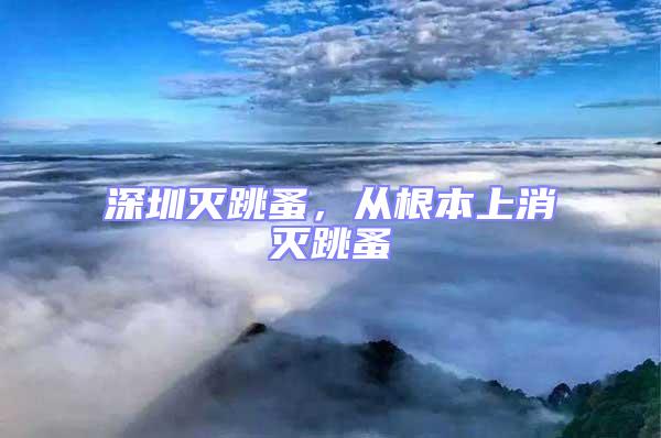 深圳滅跳蚤，從根本上消滅跳蚤