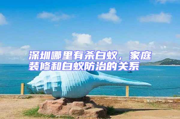 深圳哪里有殺白蟻，家庭裝修和白蟻防治的關系