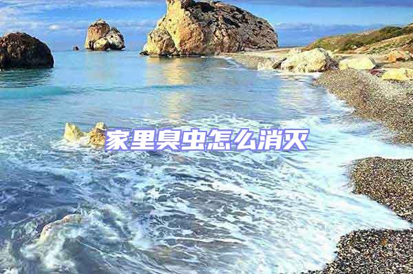 家里臭蟲怎么消滅