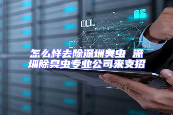 怎么樣去除深圳臭蟲 深圳除臭蟲專業公司來支招