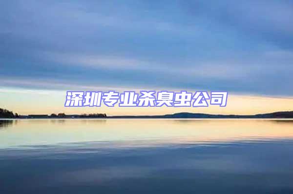 深圳專業殺臭蟲公司
