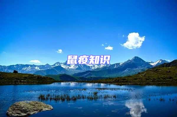 鼠疫知識