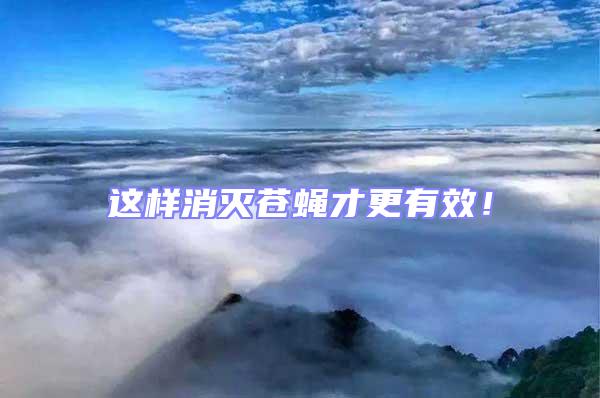 這樣消滅蒼蠅才更有效！