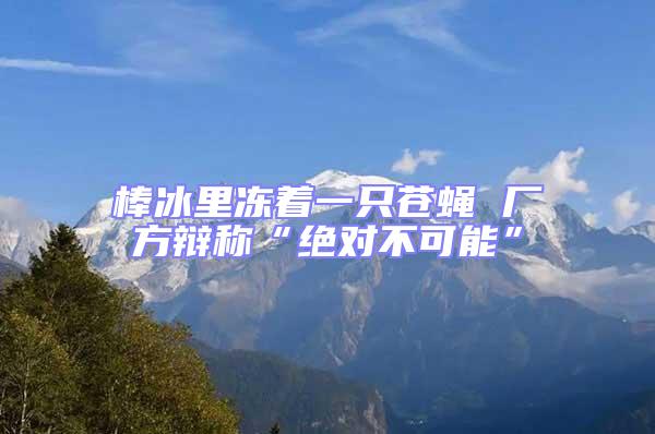 棒冰里凍著一只蒼蠅 廠方辯稱“絕對不可能”