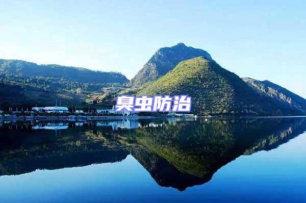 臭蟲防治