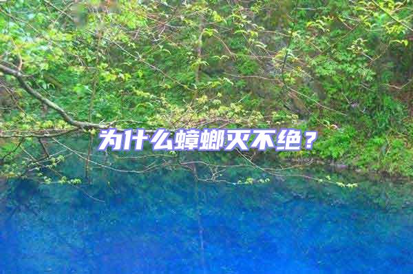 為什么蟑螂滅不絕？