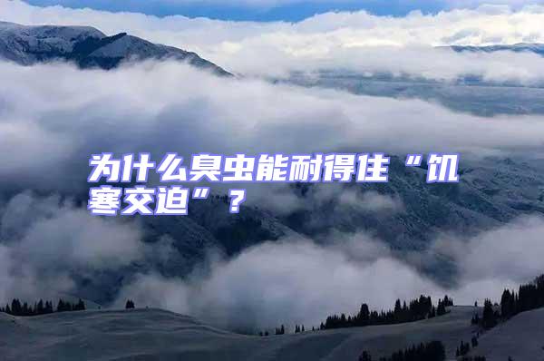 為什么臭蟲能耐得住“饑寒交迫”？