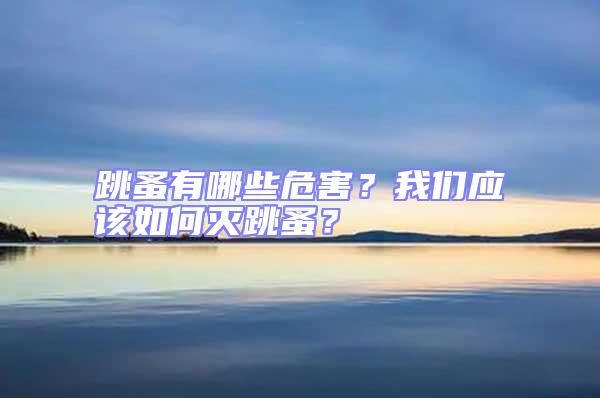 跳蚤有哪些危害？我們應該如何滅跳蚤？