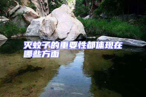 滅蚊子的重要性都體現在哪些方面