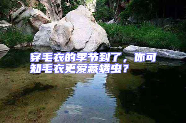 穿毛衣的季節(jié)到了，你可知毛衣更愛(ài)藏螨蟲(chóng)？