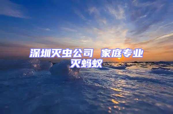 深圳滅蟲公司 家庭專業滅螞蟻