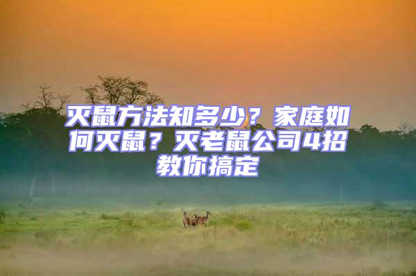 滅鼠方法知多少？家庭如何滅鼠？滅老鼠公司4招教你搞定