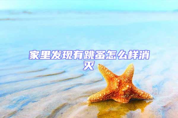 家里發現有跳蚤怎么樣消滅