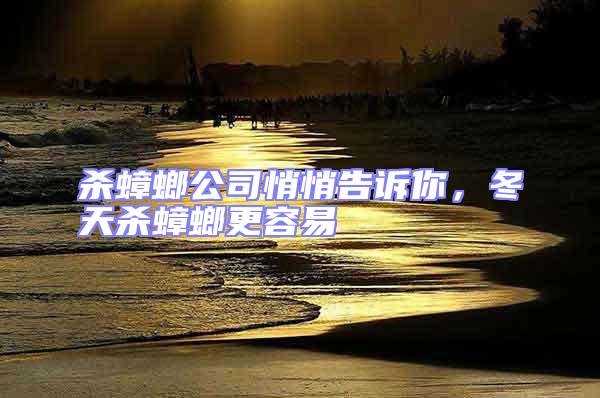 殺蟑螂公司悄悄告訴你，冬天殺蟑螂更容易