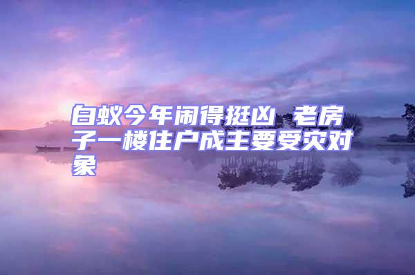 白蟻今年鬧得挺兇 老房子一樓住戶成主要受災對象