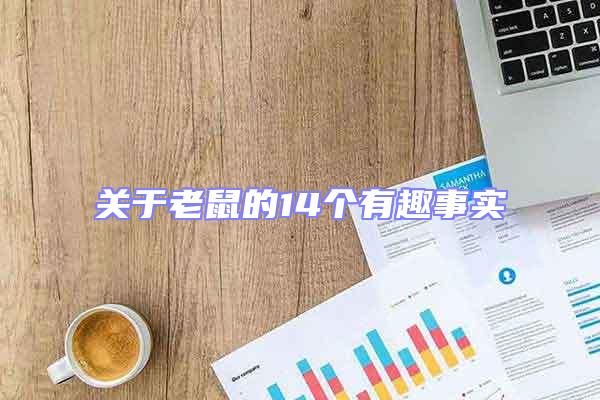 關于老鼠的14個有趣事實