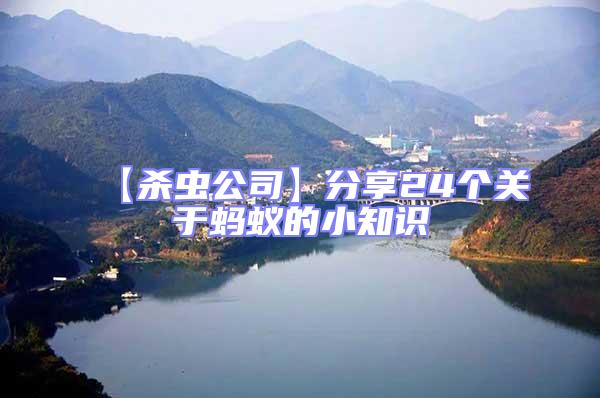 【殺蟲公司】分享24個關于螞蟻的小知識