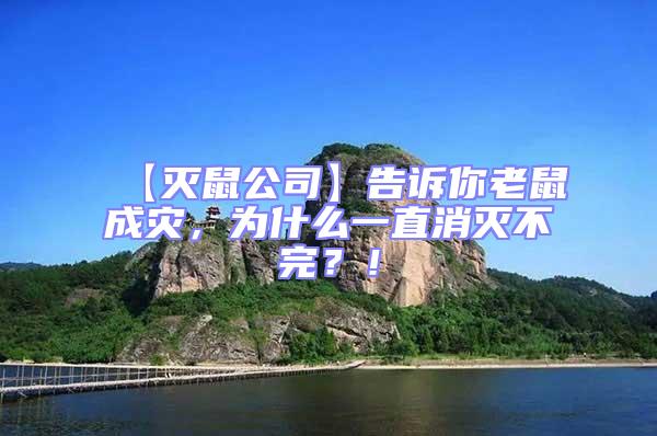 【滅鼠公司】告訴你老鼠成災(zāi)，為什么一直消滅不完？！