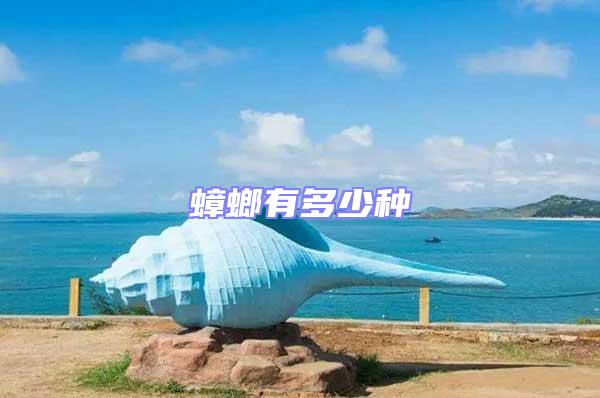 蟑螂有多少種