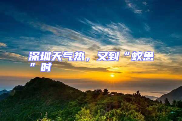 深圳天氣熱，又到“蟻患”時