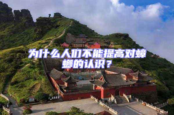 為什么人們不能提高對蟑螂的認(rèn)識？